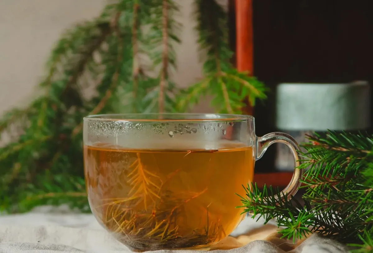 松の枝を添えたガラスのカップに入った温かいお茶